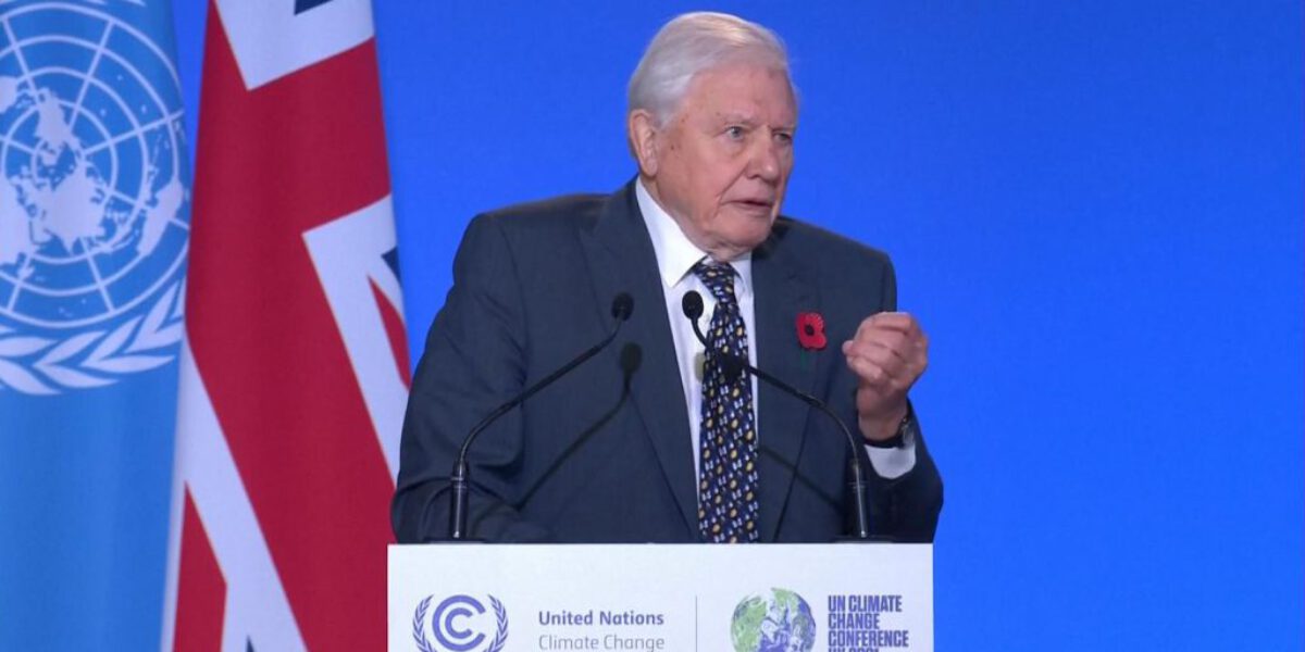 Watch Sir David Attenborough’s inspirational speech at COP26